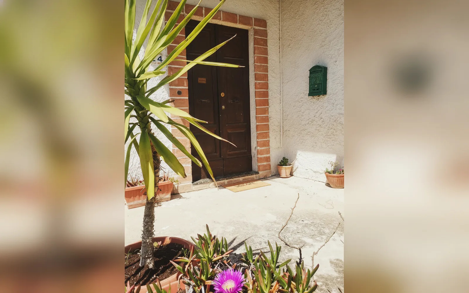 Esterni di Agriturismo Le Terre d'Abruzzo - Tenuta Grumelli, Ticchione (Abruzzo) (foto 15)