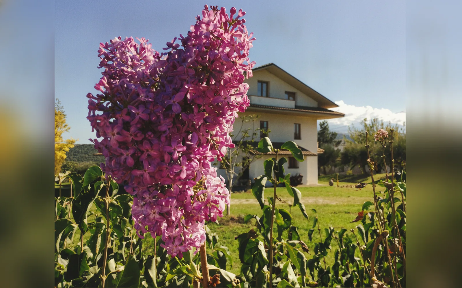 Agriturismo Le Terre d'Abruzzo - Tenuta Grumelli, struttura a Ticchione (Abruzzo) (foto 22)